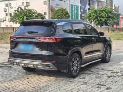 Jetour Jietu Dasheng 1.5T Exclusive Edition - фото 7
