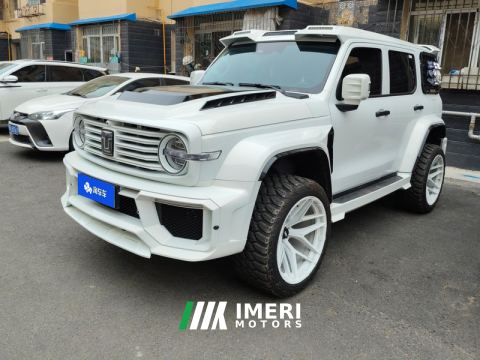 2025 Tank 300 2.0T Challenger Gasoline - ავტომობილი ჩინეთიდან