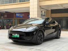 Tesla Model Y Rear-Wheel Drive - photo 1