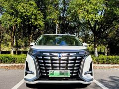 Denza D9 DM-i 980 Four-Wheel Drive Premium - photo 2