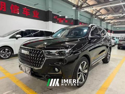 2024 Haval H6 National Trend Edition 1.5T Automatic Champion Version - ავტომობილი ჩინეთიდან