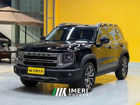 2024 Great Wall Dachshund 1.5T DCT Border Collie Edition - автомобиль из Китая