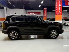 Great Wall Dachshund 1.5T DCT Border Collie Edition - ფოტო 4