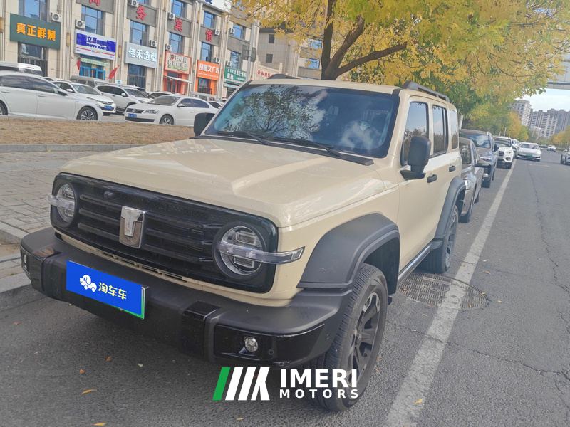 Tank 300 New Energy 2.0T Hi4-T 37.1kWh - автомобиль из Китая