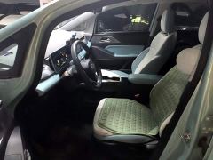 Geely Geometry E Firefly 401km Starlight - ფოტო 14