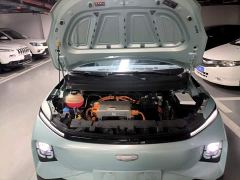 Geely Geometry E Firefly 401km Starlight - ფოტო 19