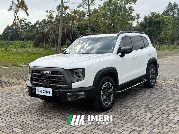 Havaldog 2.0T DCT four-wheel drive Chinese pastoral dog hunting version