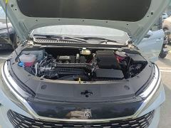 BYD Qin L DM-i 128KM Leading Edition - photo 19