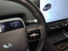 Li Auto L9 Max - ფოტო 13