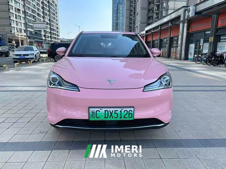 Neta V Tide 400 Lite Pink Custom Edition - ავტომობილი ჩინეთიდან