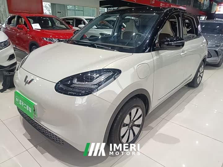 Wuling Binguo 333km Joy Edition - car from China