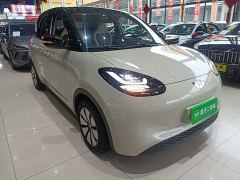 Wuling Binguo 333km Joy Edition - photo 3