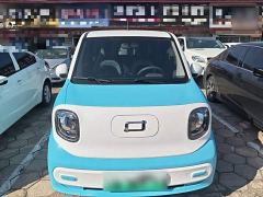 FAW Besturn Xiaoma 170km Vitality Edition - photo 2