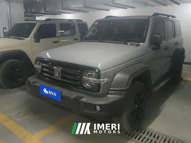 Tank 300 2.0T Challenger Gasoline - car from China
