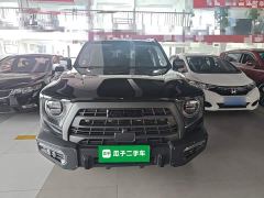 Great Wall Dachshund 2.0T DCT Four-Wheel Drive Howling Celestial Dog Hunting Edition - photo 2