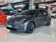 Tesla Model Y Performance All-Wheel Drive - фото 1