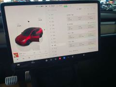Tesla Model Y Performance All-Wheel Drive - фото 14
