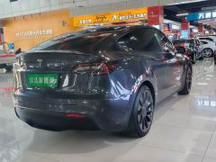 Tesla Model Y Performance All-Wheel Drive - фото 19