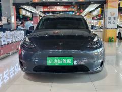 Tesla Model Y Performance All-Wheel Drive - фото 2