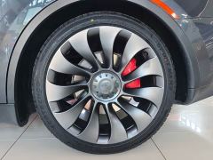 Tesla Model Y Performance All-Wheel Drive - фото 6