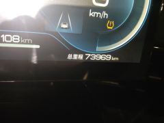 BYD Seal EV 550km Standard RangePremium Version - photo 13