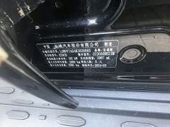 Tank 300 2.0T Conqueror - ფოტო 9