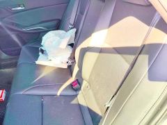 Toyota Camry 2.0L Base - photo 13