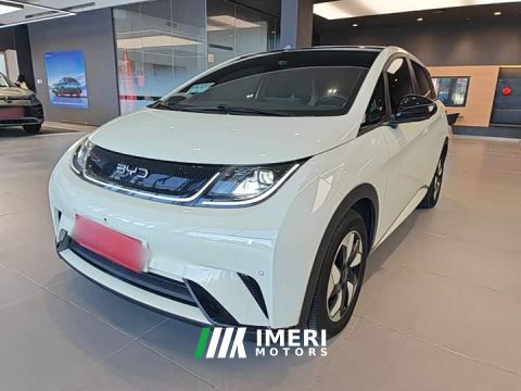 2024 BYD Dolphin Glory Edition 420km Fashion Version - автомобиль из Китая