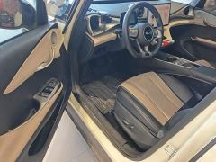 BYD Dolphin Glory Edition 420km Fashion Version - фото 15