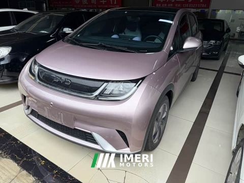 2024 BYD Dolphin Glory Edition 420km Fashion Version - автомобиль из Китая