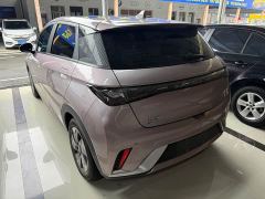 BYD Dolphin Glory Edition 420km Fashion Version - ფოტო 6