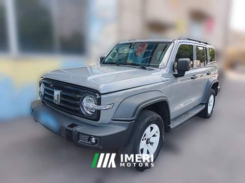 2023 Tank 300 Off-Road Edition 2.0T Challenger - ავტომობილი ჩინეთიდან