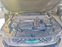 Haval Big Dog PLUS New Energy DHT-PHEV 105km Trendy Electric Edition - photo 17