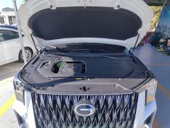 GAC Aion ES9 PHEV 143km Pro - ფოტო 19