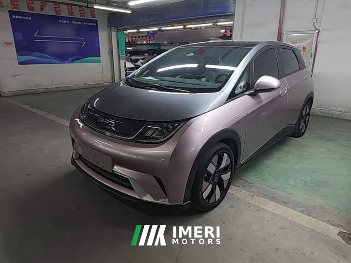 BYD Dolphin 401km Knight Edition - ავტომობილი ჩინეთიდან