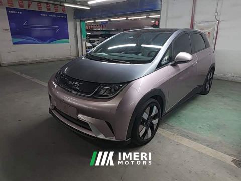 2023 BYD Dolphin 401km Knight Edition - car from China