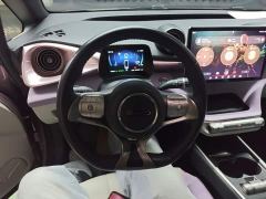 BYD Dolphin 401km Knight Edition - ფოტო 10