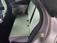 BYD Dolphin 401km Knight Edition - ფოტო 16