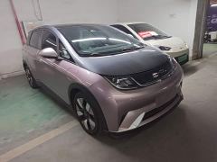 BYD Dolphin 401km Knight Edition - ფოტო 3