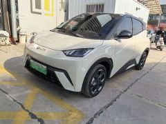 BYD Seagull 305km Freedom Edition - ფოტო 1