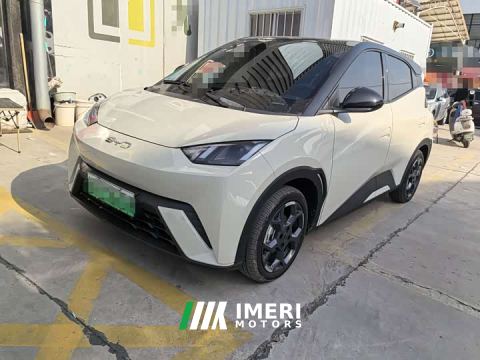 2025 BYD Seagull 305km Freedom Edition