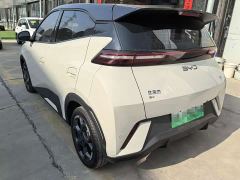 BYD Seagull 305km Freedom Edition - ფოტო 4