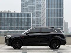 FAW Hongqi HS5 2.0T RWD Qiyun Pro Edition - photo 13