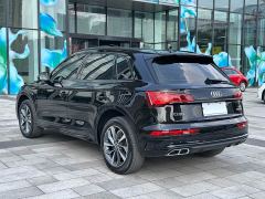 Audi Q5L 40 TFSI Luxury Dynamic Edition - ფოტო 13