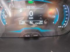 Chery Ant Sweet Pink Half-Sugar Edition Ternary Lithium 30kW 408km - фото 8