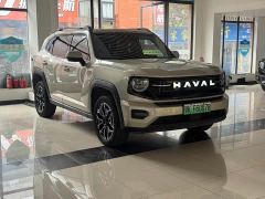 Haval Big Dog PLUS New Energy Hi4 150km Trendy EV Edition - photo 3