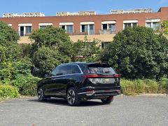 Great Wall WEY Blue Mountain Four-Wheel Drive Max - photo 5