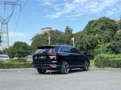 Great Wall WEY Blue Mountain Four-Wheel Drive Max - photo 7