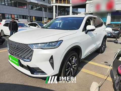 2024 Haval H6 Third Generation 1.5T Automatic Two-Wheel Drive Pro - car from China