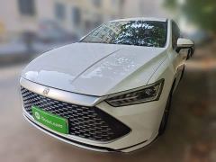 BYD Qin PLUS Champion Edition DM-i 55KM Leading - фото 1